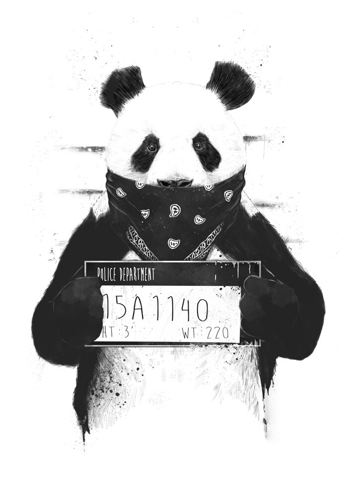 Интерьерный постер "Bad panda" размера 40x50 см 400*500 мм репродукция без рамы в тубусе для декора комнаты офиса дома дизайна спальни гостиной