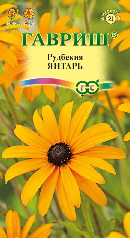 Рудбекия Янтарь 005г Мн (Гавриш) - 10 пачек семян