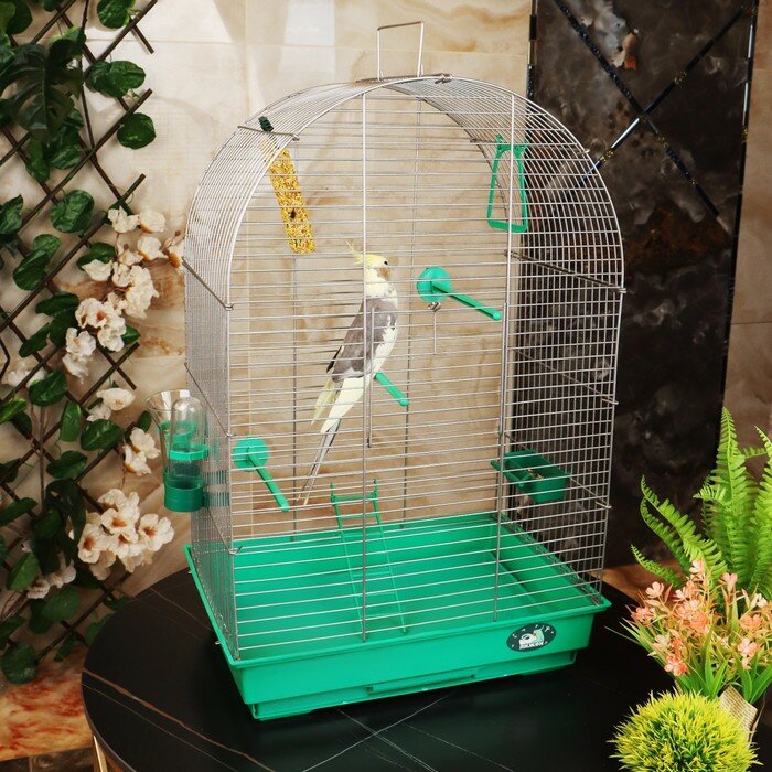 Пижон Клетка для птиц Пижон №101, цвет хром , укомплектованная, 41 х 30 х 65 см, зеленый микс