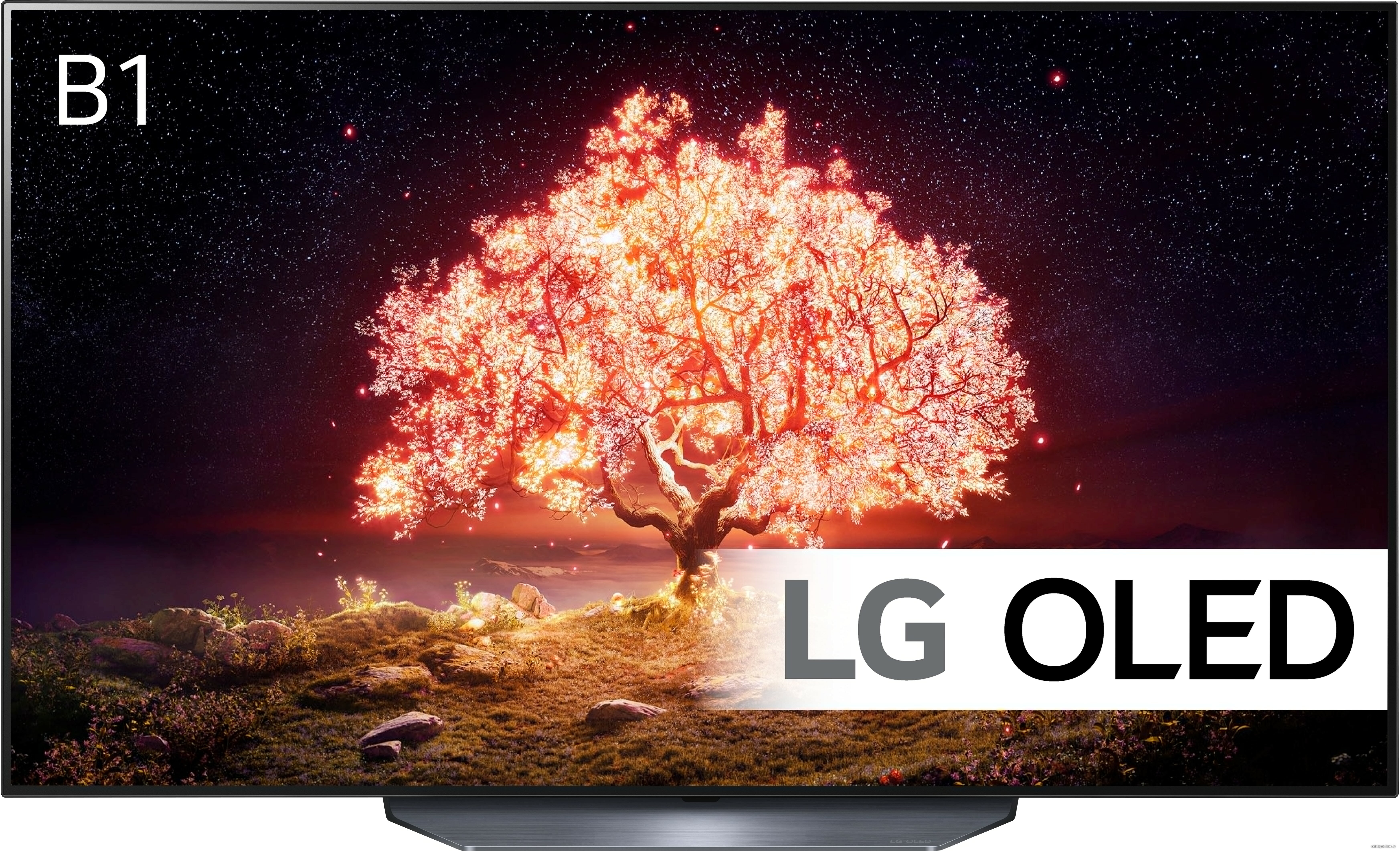 55" Телевизор LG OLED55B1RLA OLED, HDR (2021), серый