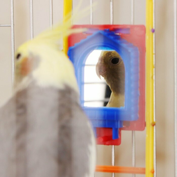 Игрушка для птиц лестница с зеркалом, микс цветов - фотография № 2