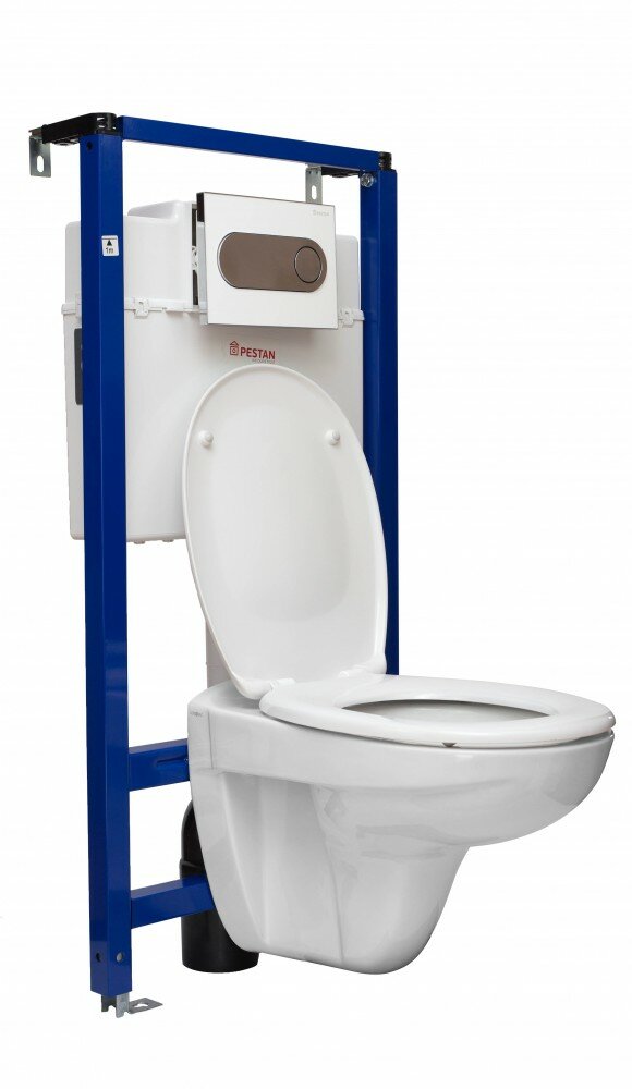 фото Унитаз Pestan подвесной в комплекте с крышкой Soft-Close Fluenta Basic (40006460)