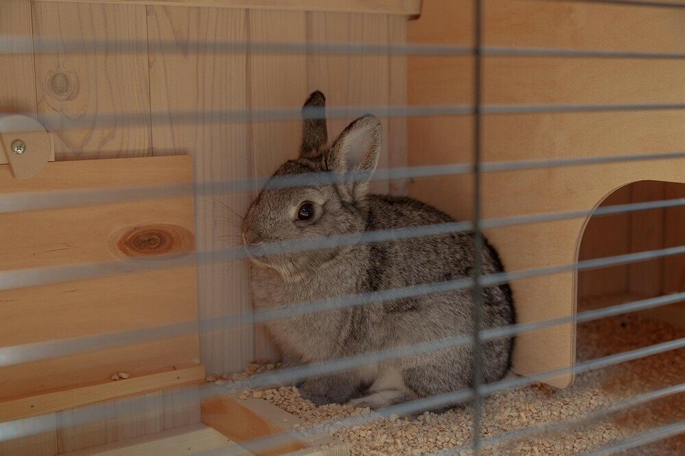 Клетка RANCH 100 BASIC для содержания кроликов на улице, деревянная (бело-коричневая) - фотография № 3
