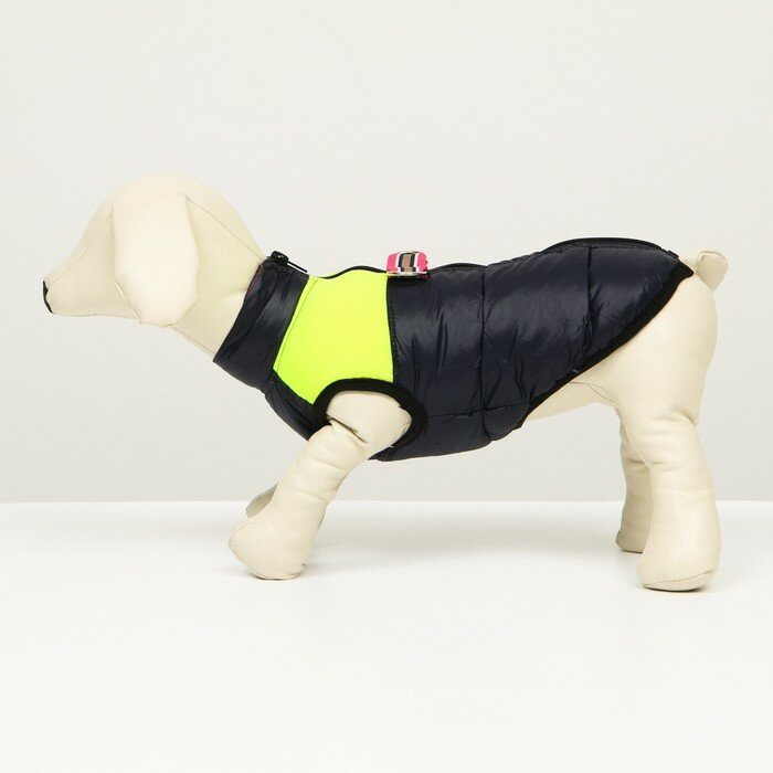 Куртка для собак на молнии, размер 8 (ДС 23 см, ОГ 30, ОШ 22 см), синяя с жёлтым - фотография № 4