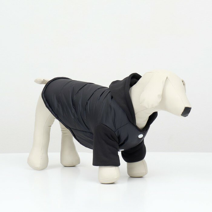 Куртка для собак "Спорт" с капюшоном, размер S (ДС 25, ОГ 35, ОШ 25 см) , чёрная - фотография № 2