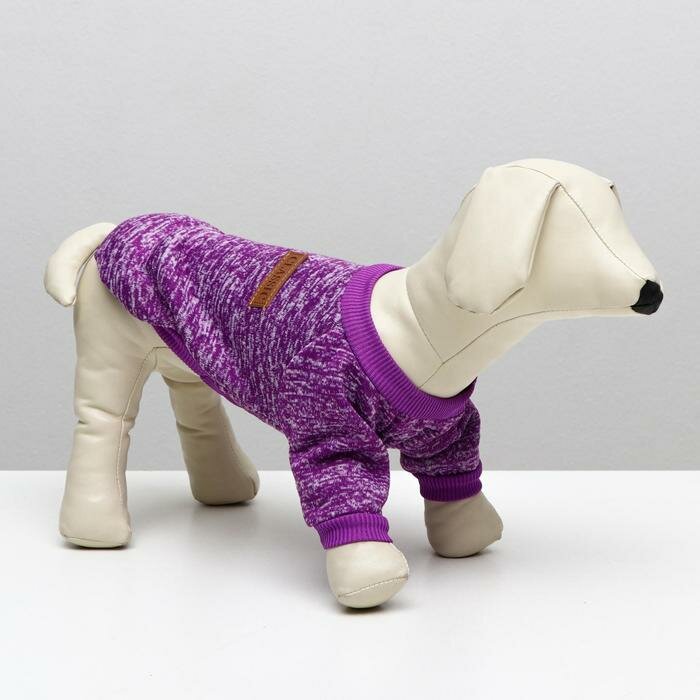 Свитер для собак КНР меланжевый, размер XL, спинка 34, шея 32, грудь 50 см, фиолетовый (GG-1) - фотография № 1