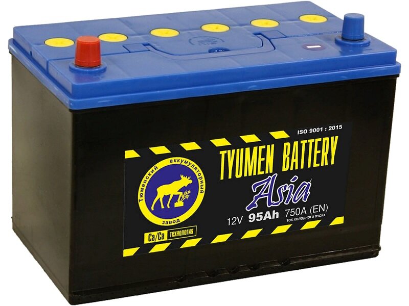 Аккумулятор автомобильный TYUMEN BATTERY ASIA 95 А/ч 750 А прям. пол. Азия авто (302х172х223) с бортиком