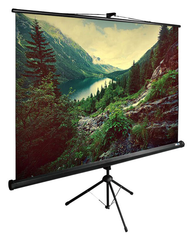 Cactus Экран Cactus 220x220см TriExpert CS-PSTE-220x220-BK 1:1 напольный рулонный черный