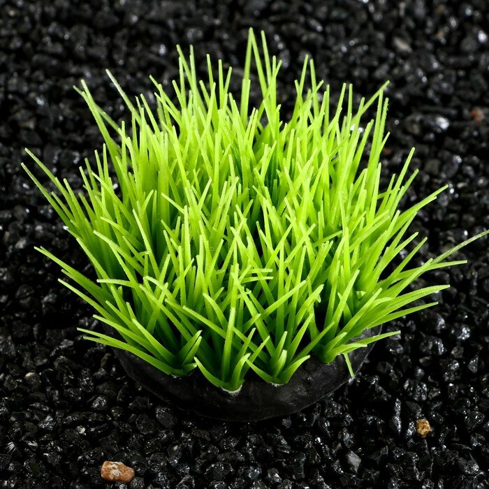 Растение силиконовое аквариумное, светящееся в темноте, 16 х 11 см, зелёное - фотография № 3