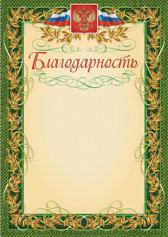 Грамота подарочная Благодарность No Name герб и флаг рамка лавровый лист А4 КЖ-158 15 штук