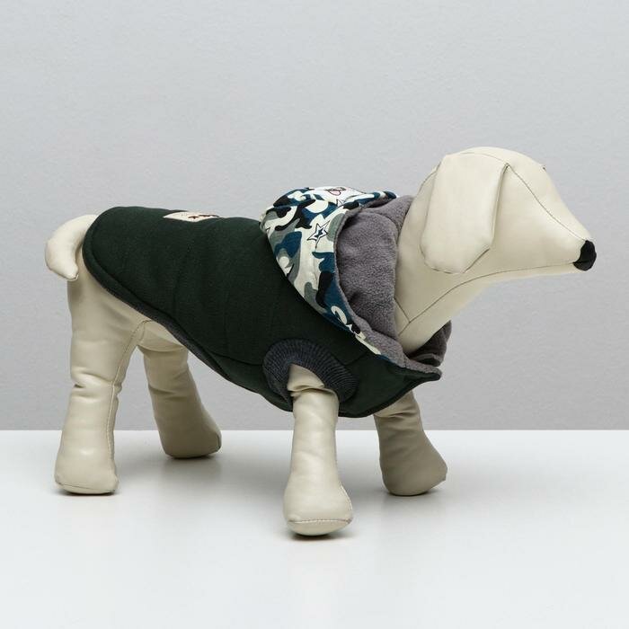 Куртка для собак, S (ДС 20 см, ОШ 23 см, ОГ 32 см), тёмно-зелёная - фотография № 1