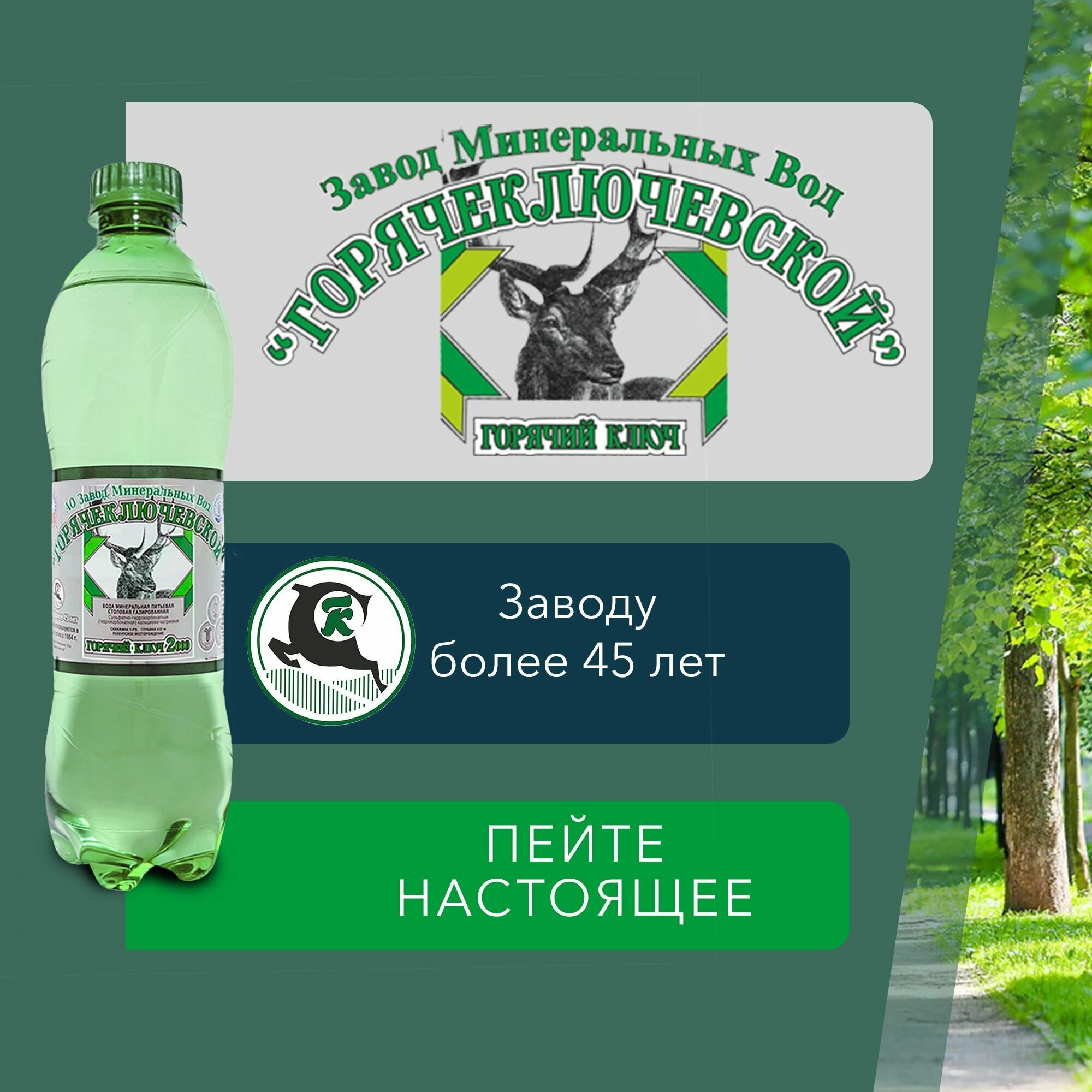 Вода Горячий Ключ 2000. Объем 0,5л*12. Вода минеральная газированная природная целебная лечебная, выводит токсины, для детей - фотография № 10