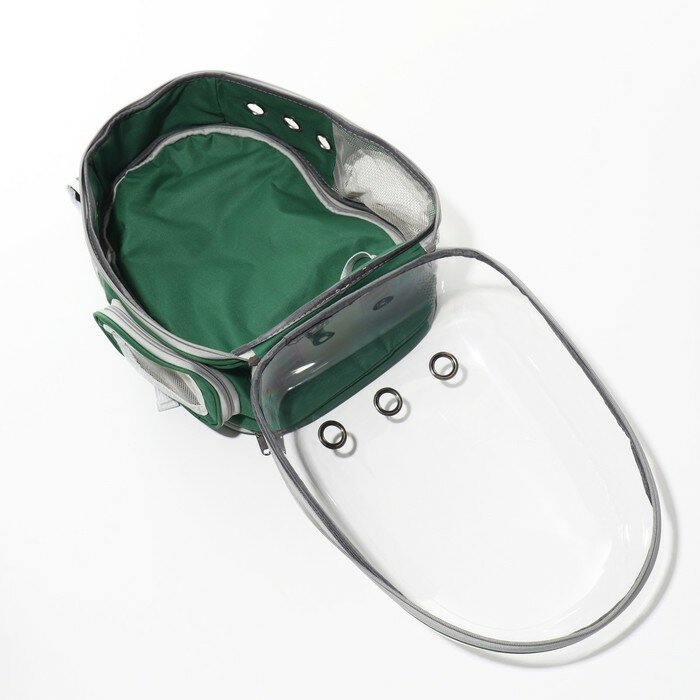 Прозрачный раскладывающийся рюкзак для животных, 33 х 28 х 42 см, зеленый - фотография № 6
