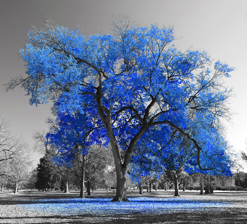 Фотообои Уютная стена "Дерево с синими листьями" 300х270 см Бесшовные Премиум (единым полотном) - фотография № 1