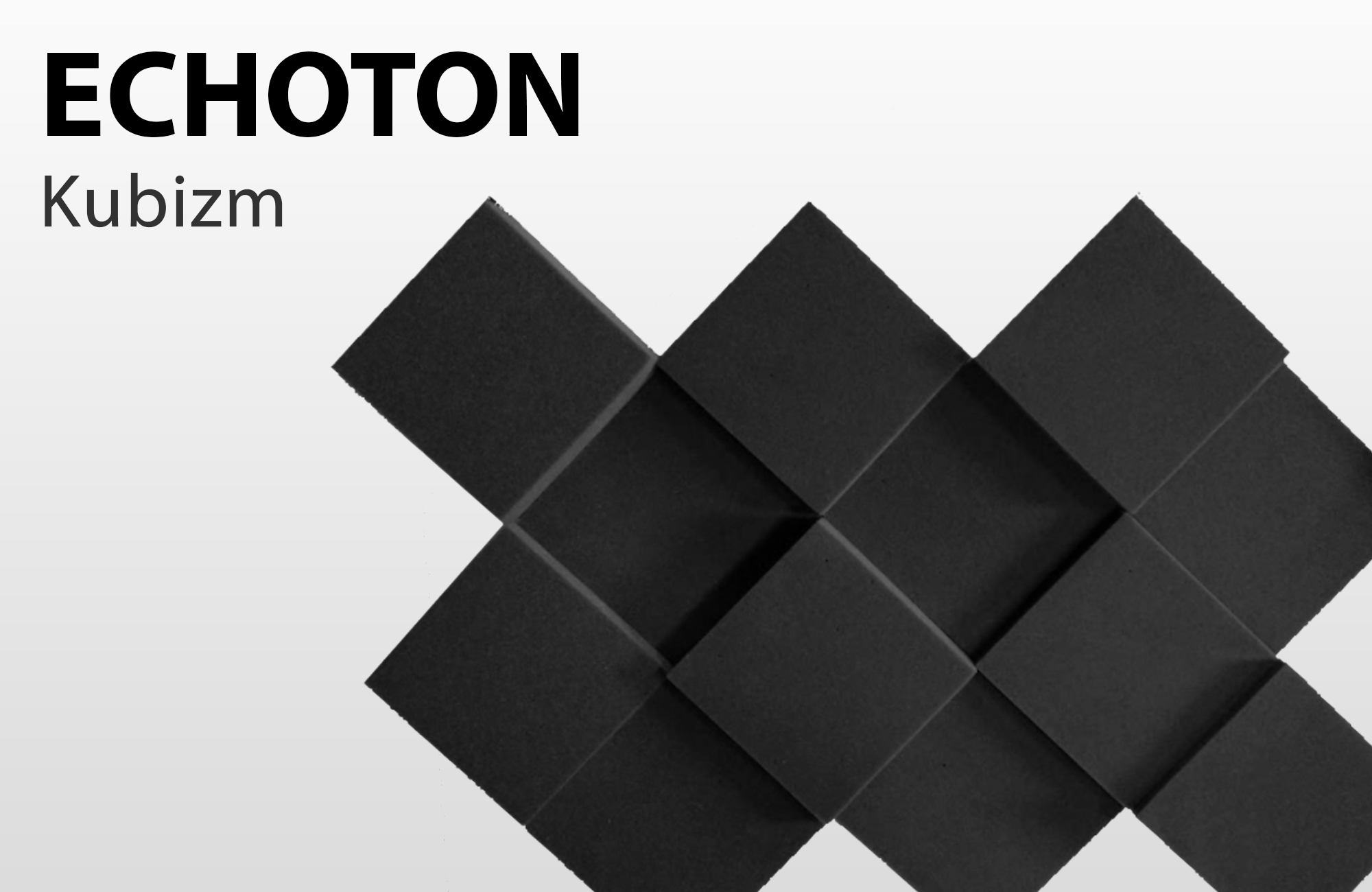 ECHOTON Акустический поролон ECHOTON Kubizm (12шт) 200-2200 Hz