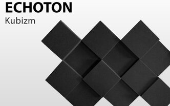 ECHOTON Акустический поролон ECHOTON Kubizm (12шт) 200-2200 Hz