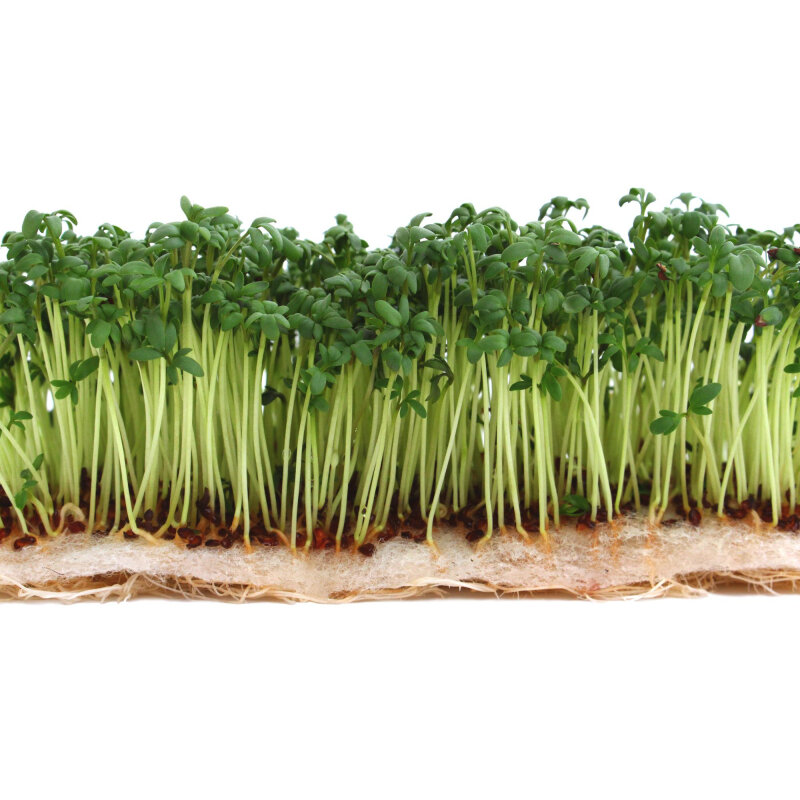 Грунт Коврик для выращ.микрозелени,16x10x0,5 см,4 шт/уп,агроволокно,189582 - фотография № 5