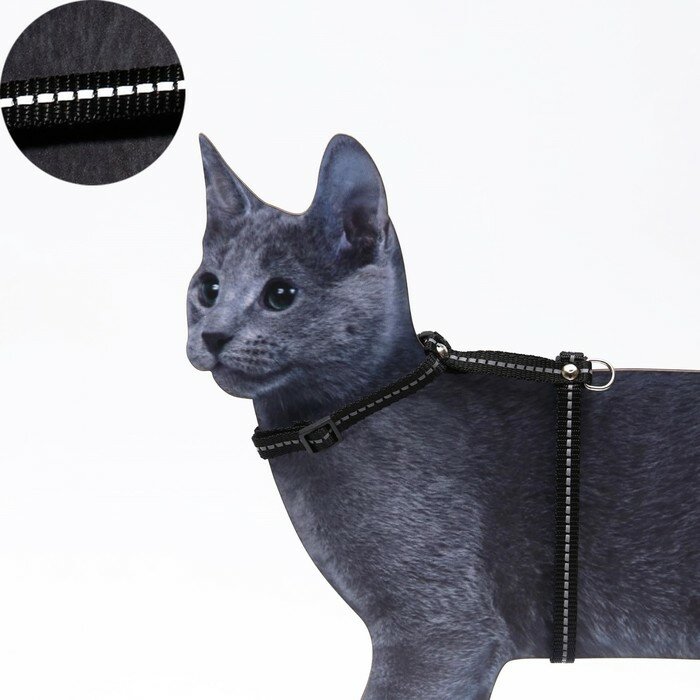 Пижон Шлейка для кошек, ширина 1 см, светоотражающий, ОШ 16,5-27 см, ОГ 21-35 см, чёрный