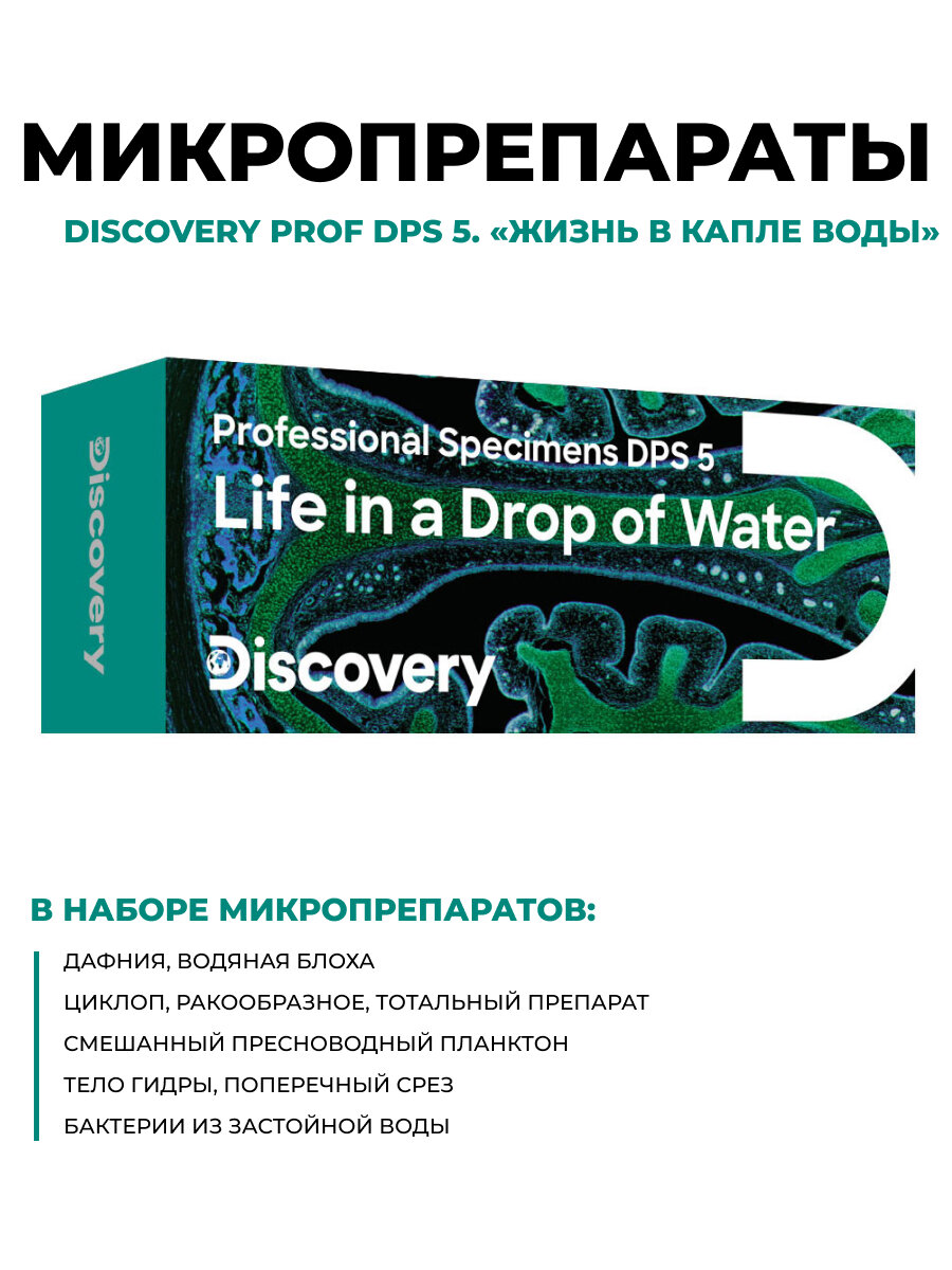 Набор микропрепаратов Discovery Prof DPS 5. Жизнь в капле воды