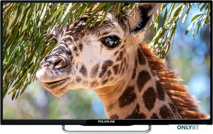 Телевизор Polarline 32" 32PL54TC-SM Smart - фото №1