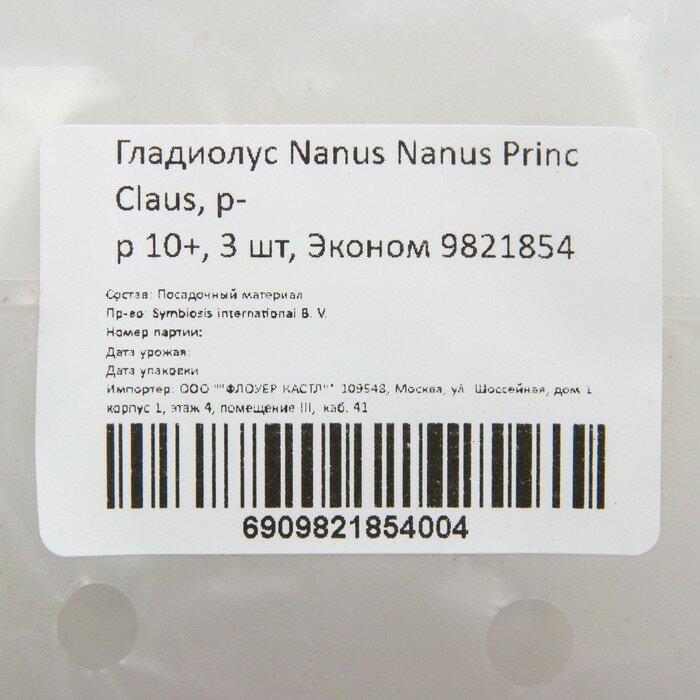 Гладиолус Nanus Nanus Princ Claus, р-р 10+, 3 шт, Эконом - фотография № 2