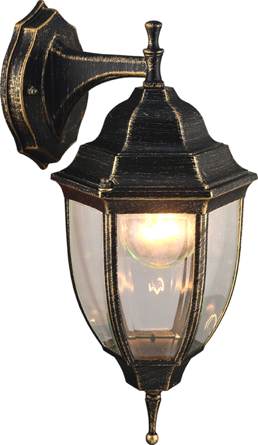 Arte Lamp A3152AL-1BN Pegasus