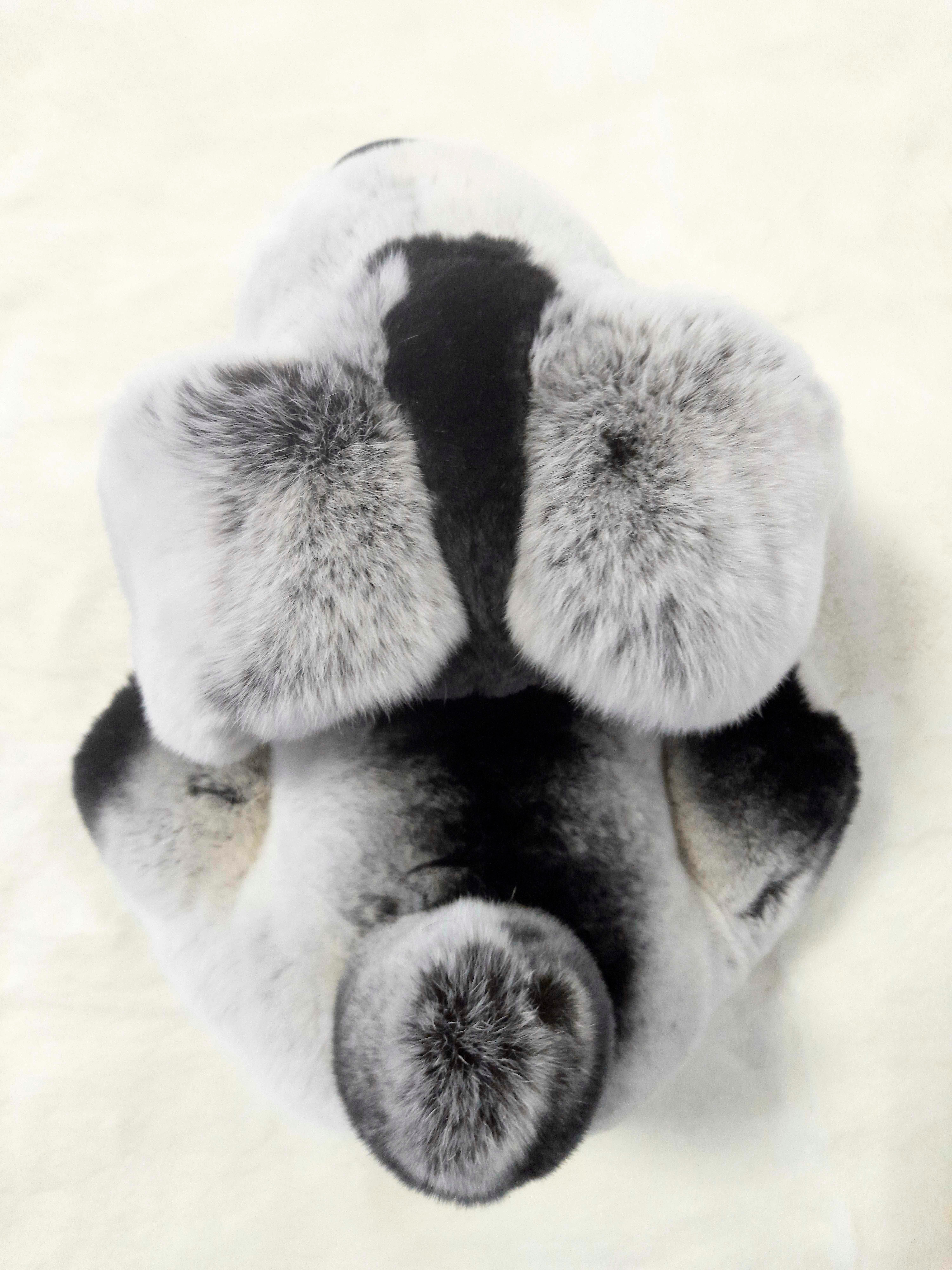 Собака сувенир из натурального меха кролика породы Рекс - фотография № 3