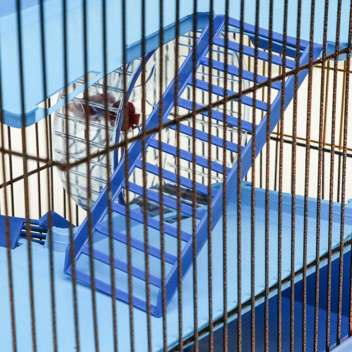 Клетка для грызунов с пластиковыми полками и наполнением, 36 х 23 х 34 см, синий - фотография № 4