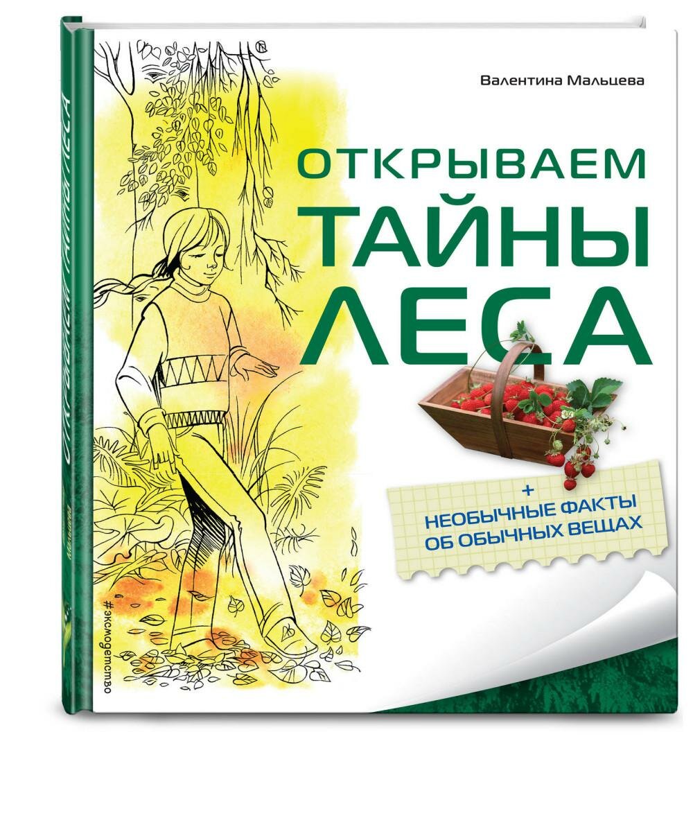 Открываем тайны леса (Сичкарь Александр Николаевич (иллюстратор), Мальцева Валентина Ефимовна, Лазарева Любовь Павловна (иллюстратор)) - фото №2