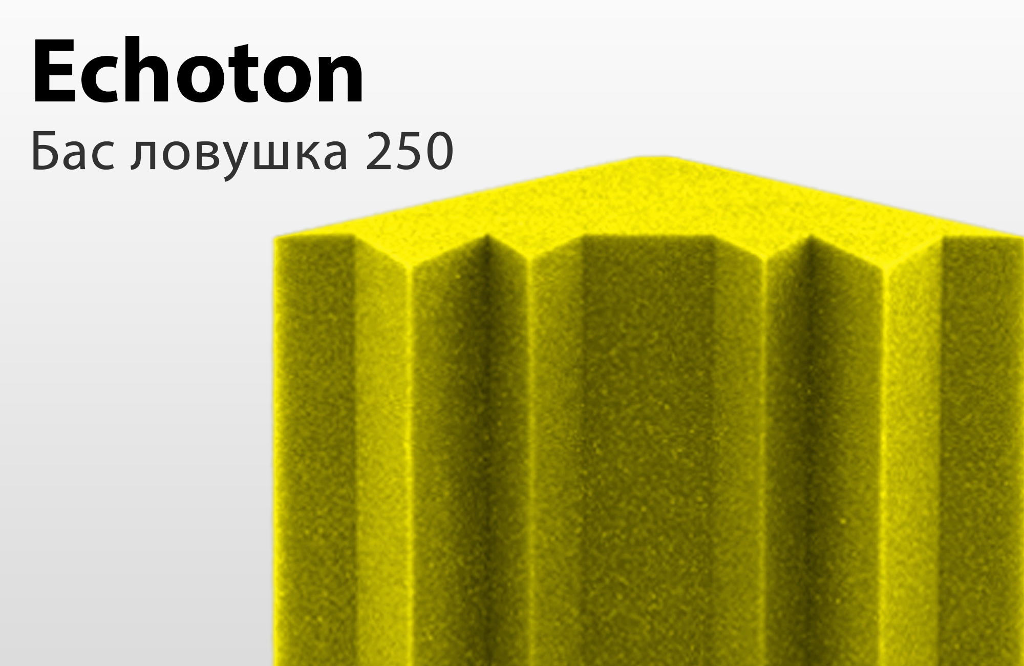 ECHOTON Акустический поролон Бас ловушка ECHOTON BassTrap 250 (1шт) 160-2600 Hz