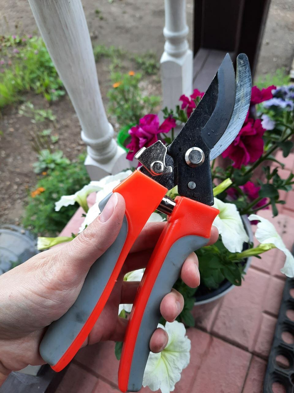 фото Секатор Плоскостной