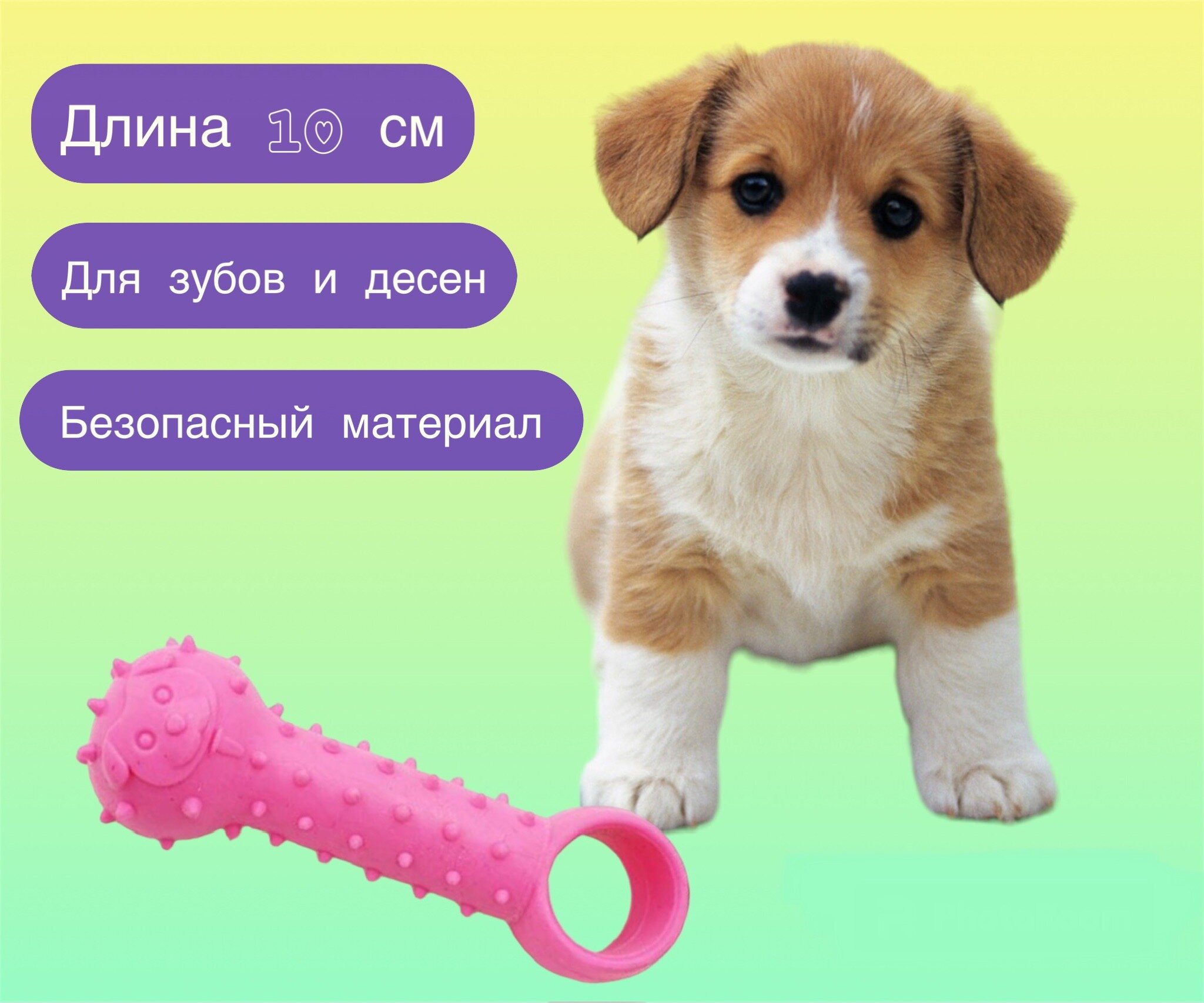 Игрушка для собак, игрушка жевательная - фотография № 1