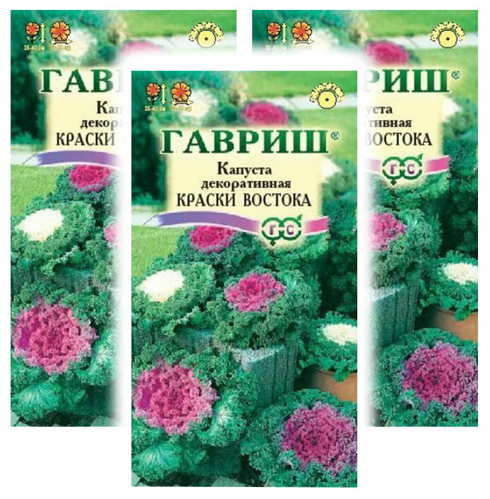 Комплект семян Капуста декоративная Краски востока х 3 шт.