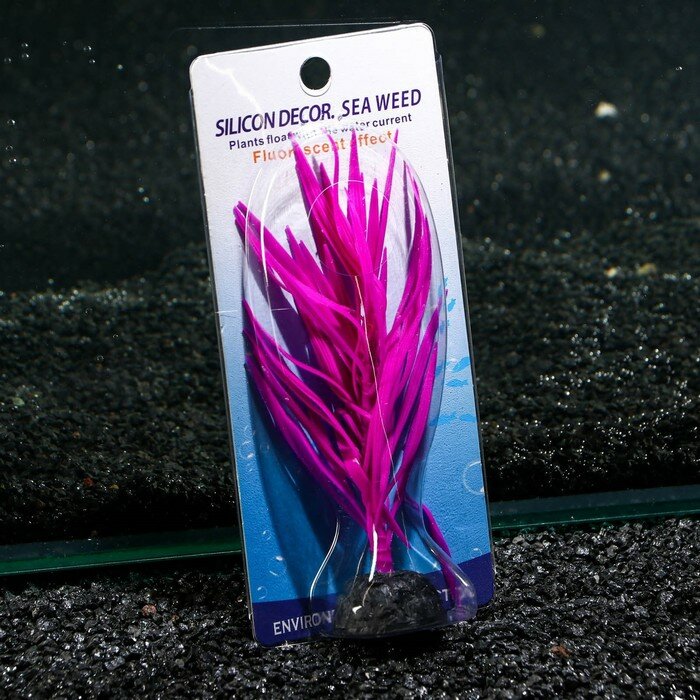 Растение силиконовое аквариумное, светящееся в темноте, 7 х 12,5 см, фиолетовое - фотография № 4