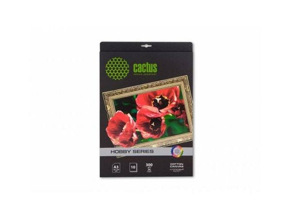 Холст Cactus CS-СA326010 А3 300 г/м2 10л хлопковая