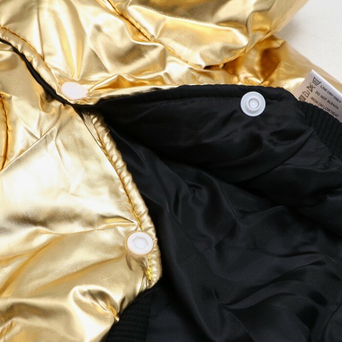 Куртка для собак "Космонавт", размер 16, чёрно-золотая (ДС 40, ОШ 34, ОГ 48 см) - фотография № 9