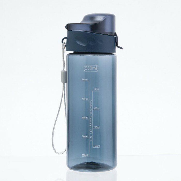 Бутылка для воды "Бриз", 550 мл, 57 х 36 х 43 см - фотография № 1