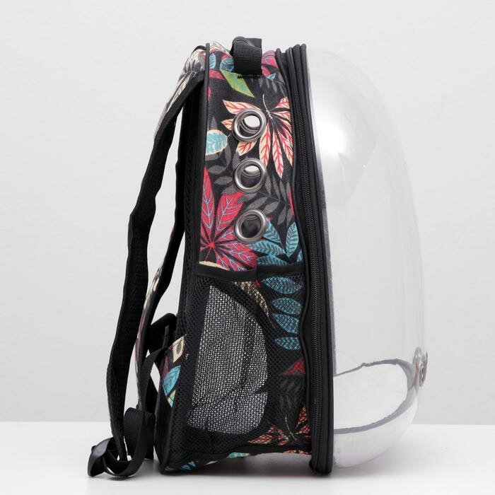 Рюкзак для переноски животных прозрачный 'Разноцветная листва', 31 х 28 х 42 см - фотография № 2