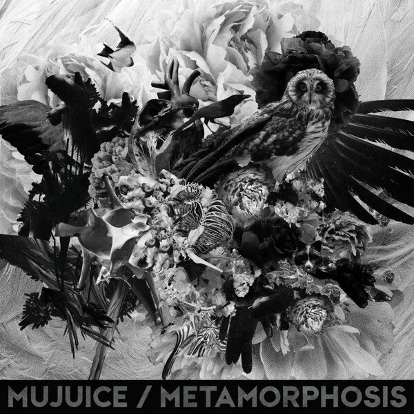 Mujuice Metamorphosis