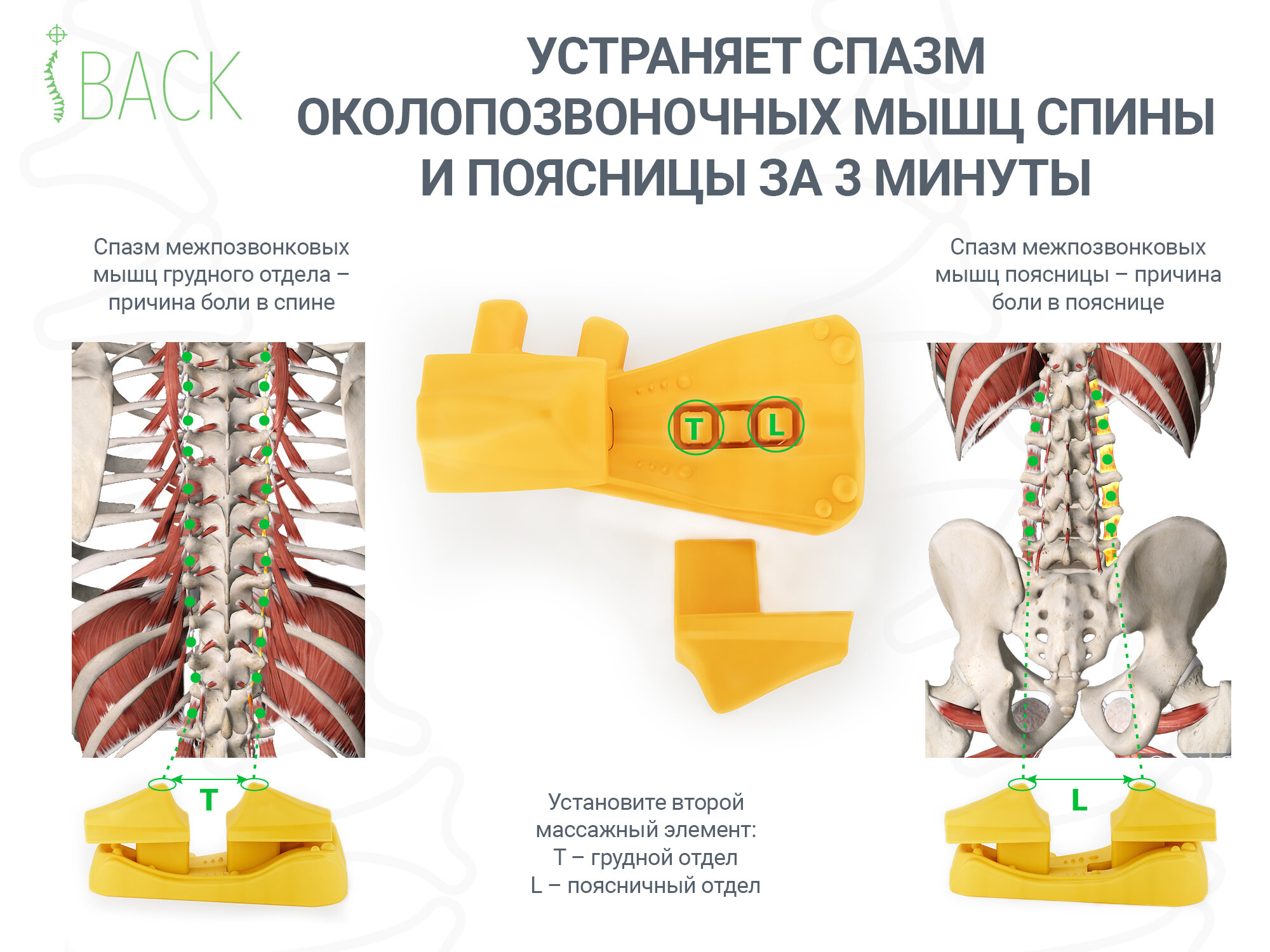 Массажер iBACK PHYSIO - фотография № 4