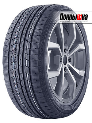 Шины Fronway Icemaster II 255/45 R20 105V