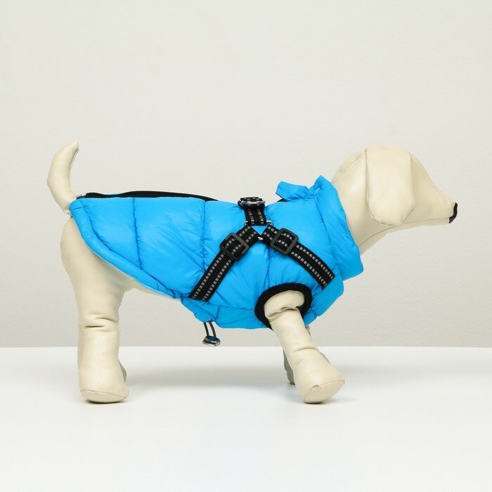 Куртка для собак со шлейкой, размер 24 (ДС 45 см, ОГ 70 см, ОШ 42 см), лазурная - фотография № 2