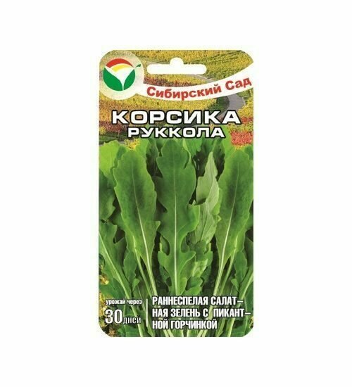 Семена Салат Рукола Корсика 0.5 гр Сибирский сад, 2 шт