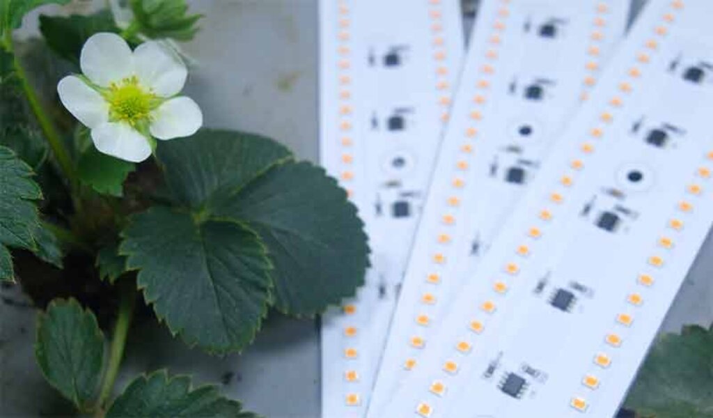 Фито-панель(50x30см/600Вт), Quantum Board для выращивания растений в закрытых помещениях - фотография № 8