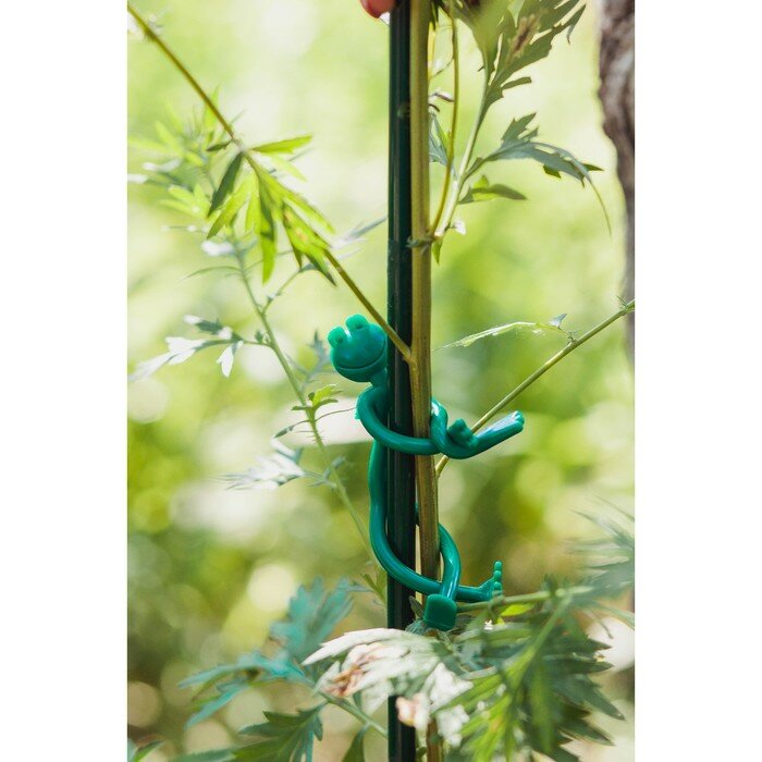 Подвязка для растений «Лягушка», набор 2 шт., зелёная - фотография № 3