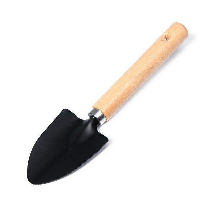 Набор садового инструмента, 3 предмета: рыхлитель, 2 совка, длина 20 см, деревянные ручки - фотография № 4