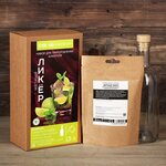 BRAGAVAR Подарочный набор для приготовления алкоголя «Мятный ликер»: травы и специи 43 г, бутылка 500 мл., инструкция - изображение