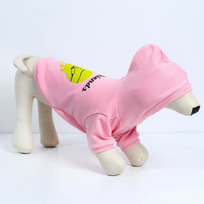Толстовка Best Friends для собак (футер), размер S (ДС 23, ОШ 32-34, ОГ 40-44), розовая - фотография № 8