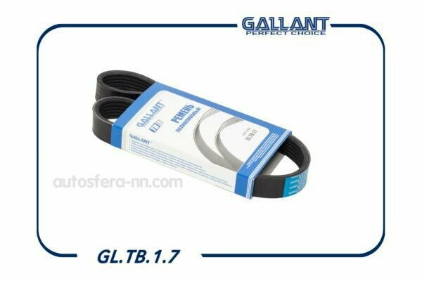 GALLANT GLTB17 Ремень поликлиновый 6PK 698 GALLANT GL.TB.1.7