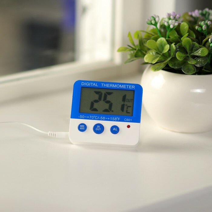 Термометры, метеостанции и гигрометры Luazon Home Термометр LTR-13, электронный, выносной датчик 90 см, белый